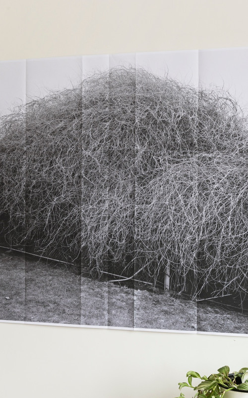 NOUVELLE ÉDITION | EXTRAIT DE NUMMER ÉÉN Image 1