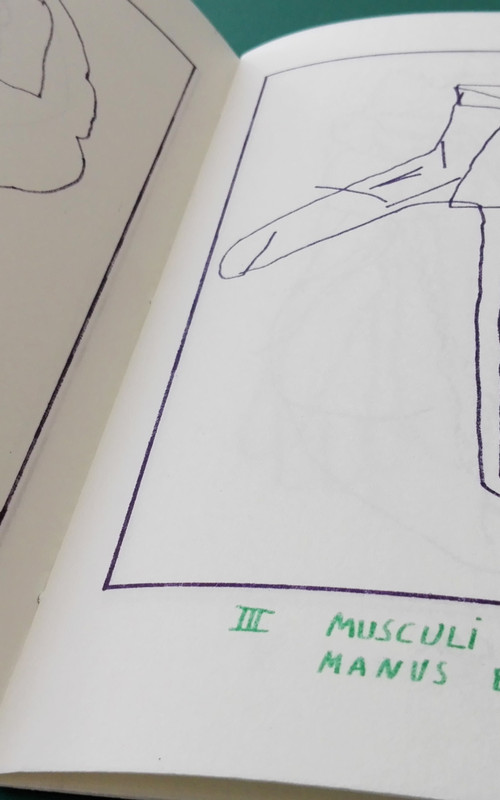 NOUVELLE ÉDITION | ATLAS D'ANATOMIE HUMAINE Image 2