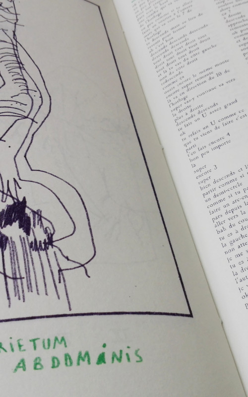 NOUVELLE ÉDITION | ATLAS D'ANATOMIE HUMAINE Image 3