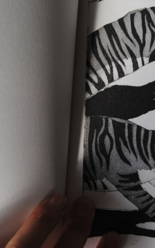 Nouvelle édition | La chasse au tigre Image 3