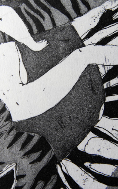 Nouvelle édition | La chasse au tigre Image 4